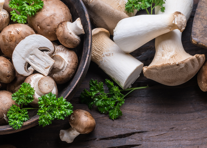 The Mushroom Council looks to retail data to see long-term shifts in how shoppers are embracing mushrooms, says spokesperson Eric Davis. Those trends provide valuable insights to growers, retailers and menu developers as they seek to seize consumers’ enduring passion and interest for mushrooms.