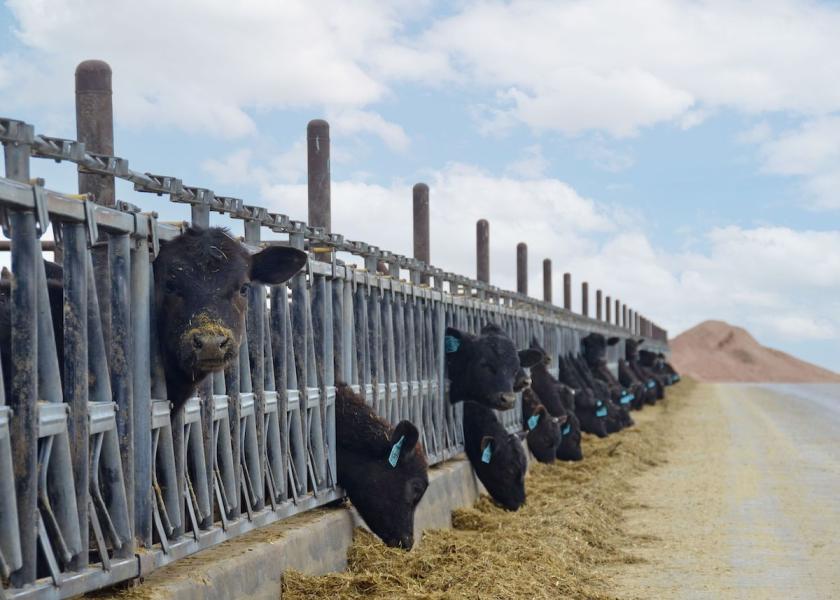 Just five years ago there were approximately 25.4 million cattle fed through feedlots that were harvested year-over-year.