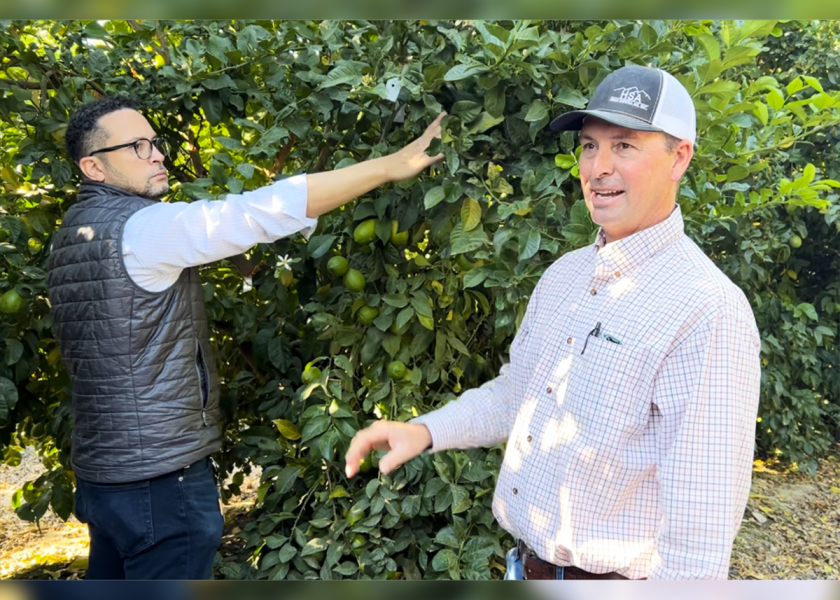 From left: Wonderful Citrus President Zak Laffite and Todd Consolascio, director, northern farming, discuss sustainability, innovation and the company’s expanding citrus program during an October 2023 media tour of a 155-acre Wonderful Citrus grove in Visalia, Calif.