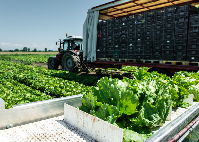 Produce Traceability Initiative has released more updated guidance to help those in the produce industry navigate the Food Safety Modernization Act's final rule, FSMA 204.