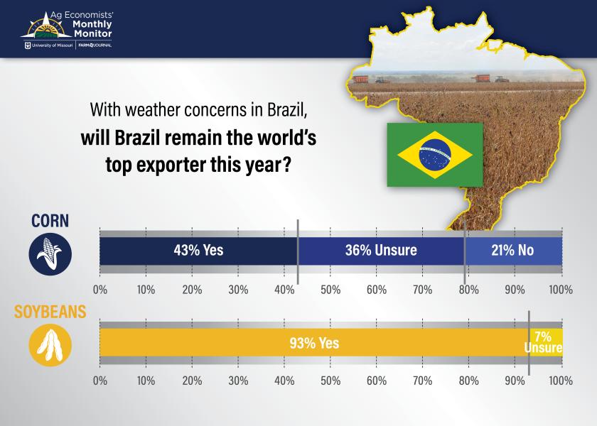The January Ag Economists’ Monthly Monitor revealed 43% of economists think Brazil will remain the world’s top exporter of corn; 21% disagree. University of Missouri ag economist Ben Brown says it’s Brazil’s title to lose, and it all hinges on timing. 