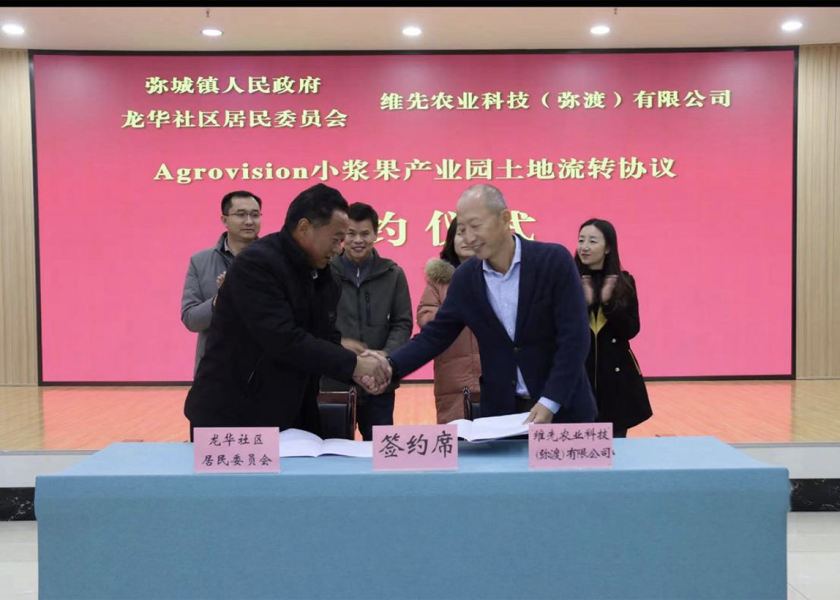 From left: Zhu Yh of the Longhua Residents Committee and Stone Wang, executive chairman of Agrovision China, shake hands after signing an agreement to introduce large-scale blueberry farming operations in China's Yunnan province.