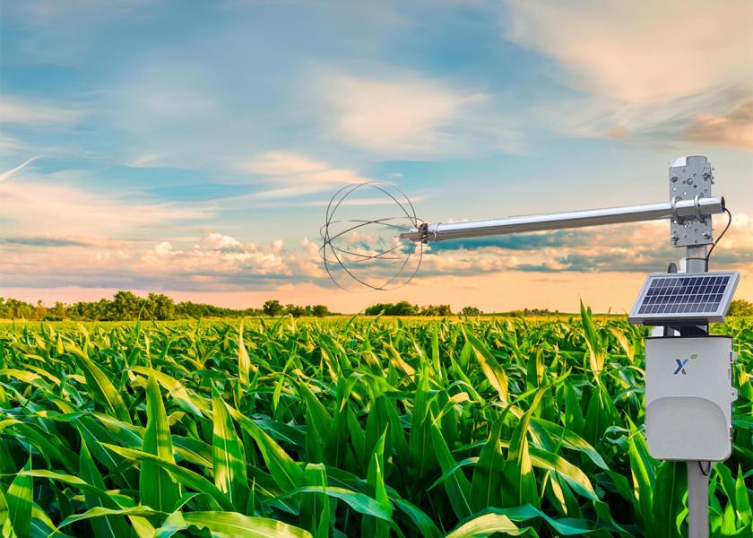 By measuring the amount of water that crops use, Reinke Direct ET gives farmers daily insights into their crop's water needs, enabling informed irrigation decisions.