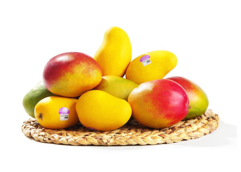 Chris Ciruli, chief operating officer of the Rio Rico, Ariz.-based company, said there is expected to be limited round mango production available, which will allow a transition to Champagne mangoes (ataulfo variety) from the start of March through Cinco de Mayo.