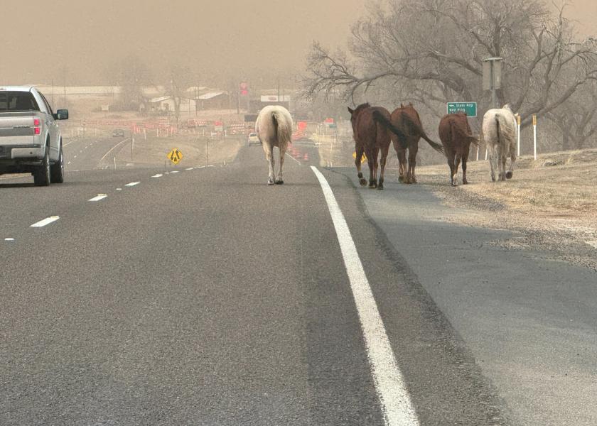Animal Supply Points are being established in the area hardest hit by wildfires in the Texas Panhandle.