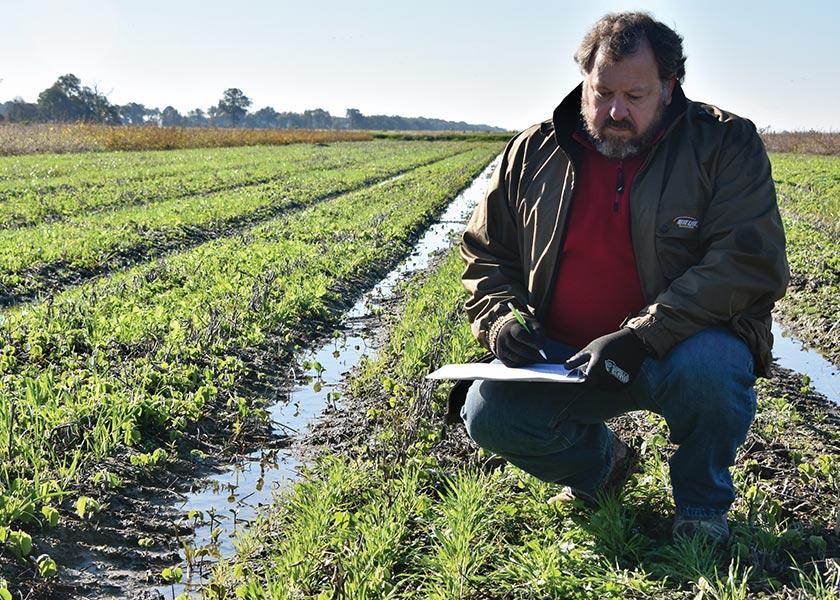 Through research, Doyle identified the cover crops that would be best suited for the area’s heavy, water-logging soil. Cover crops are focused on waterways, field edges, roads and highly erodible, sloped fields.
