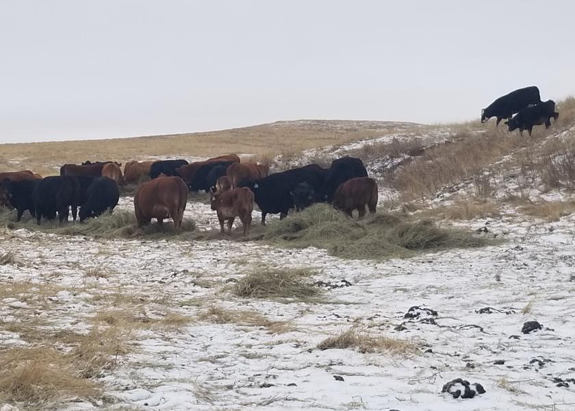 Ranchers should consider whether winter feed supplies are enough to stretch into spring in case of delayed turnout.