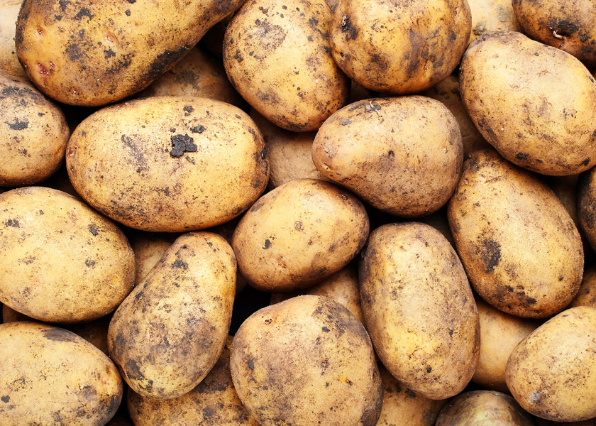 In its latest report, the National Potato Council explores the economic potential of exports and expanded market access.