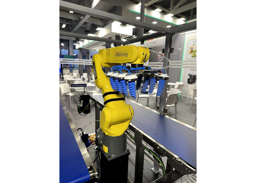 The robot, which meets the needs of most weighing and packaging lines, can place up to 30 to 40 packs of produce a minute, according to The Sorma Group.