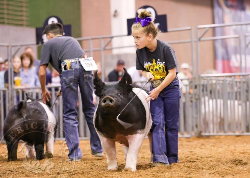 Exhibitors, their families and guests can expect a high-quality show with top-notch competition across four species of livestock, says Jeff Nemecek, livestock event manager at the American Royal.