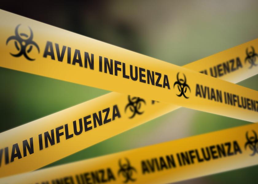 BREAKING: Second U.S. Dairy Worker Infected with Bird Flu Confirmed in Michigan