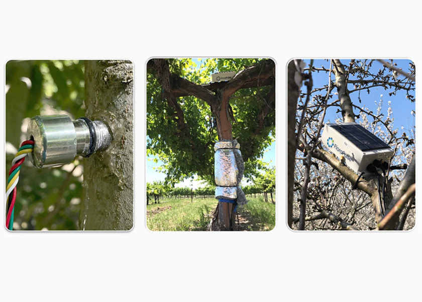 "The FloraPulse system is a microchip tensiometer (microtensiometer) that is embedded into the tree woody tissue and directly measures the water status, known as water potential," the company says on its website. "Because the measurement is taken directly inside the water-carrying tissue, readings are very accurate and reliable."