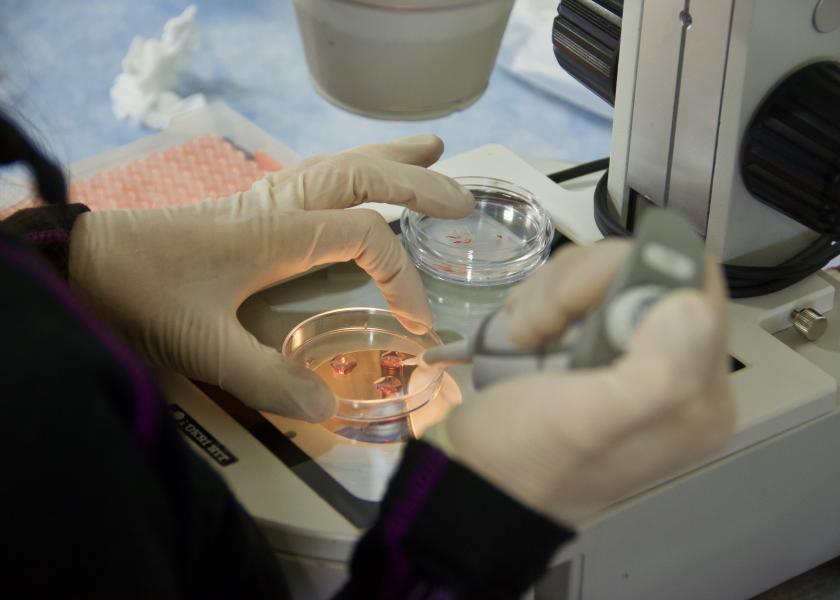 Vytelle opens eighth US-based in vitro fertilization laboratory in Kearney, NE. 