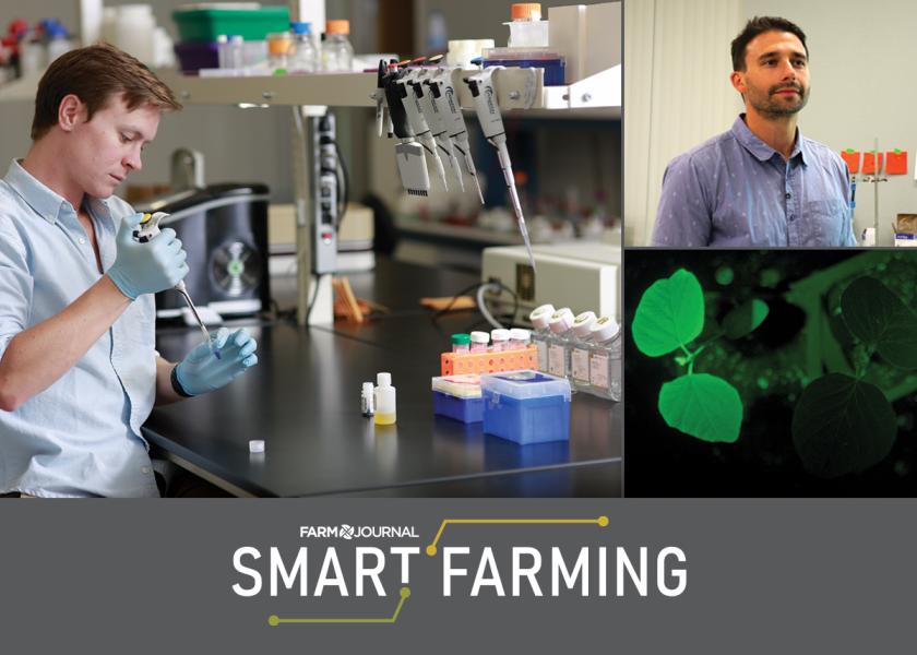 Above, clockwise from left: An InnerPlant lab technician working on the startup's InnerSoy technology, InnerPlant Senior VP of Operations and Finance Dan Garblik, and a soybean plant expressing a stress signal in lab trials. 