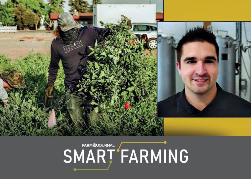 Clockwise from left: A grower near Salinas, California, harvests produce grown with Nitricity's climate smart fertilizer; Nitricity CTO and Co-founder Dr. Joshua McEnaney. 