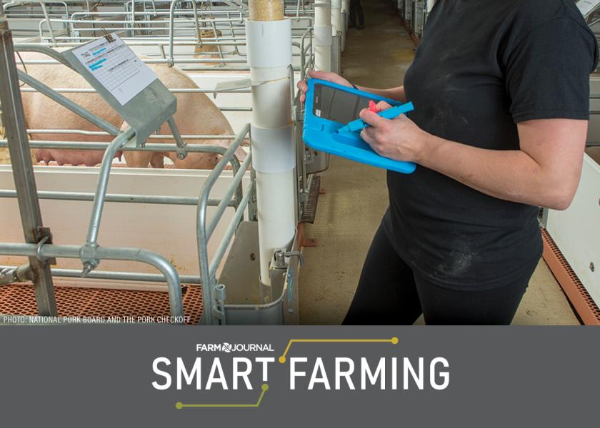 Although there isn’t a magic bullet to reduce sow death loss, Brad Eckberg of MetaFarms Inc., offers some things for producers to think about based off the time he has spent looking at data, talking to producers and visiting a variety of operations. 