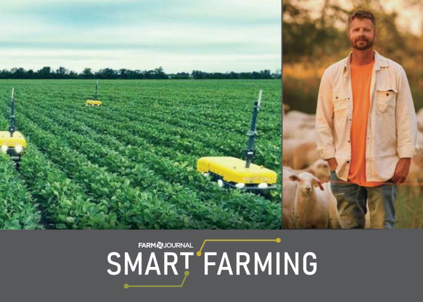 GreenField Incorporated's AI-powered, swarming mini robots are reportedly able to eliminated tiny weeds without the use of chemicals (left), according to CEO and founder Clint Brauer (right). 