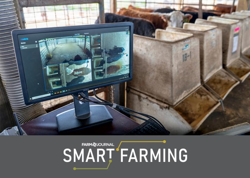 Computer monitors and cameras, along with artificial intelligence, are part of a precision livestock management system being researched at Texas A&M.