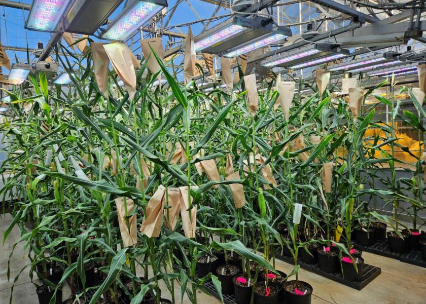 According to the company, the use of PhotoSeed technology has the potential to lower a crop’s carbon intensity score.
