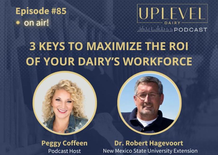 The key to maximizing the return on investment of a dairy's workforce lies in the management's ability to humanize operations, understand employee needs, and deploy individual skills appropriately.