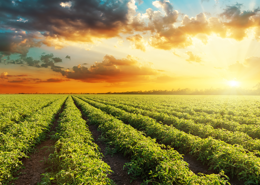 The Texas Department of Agriculture will receive nearly $200,000 from the federal Organic Market Development Grant over the next three years to support promotional and educational activities showcasing the diversity of the state's organic agriculture industry.