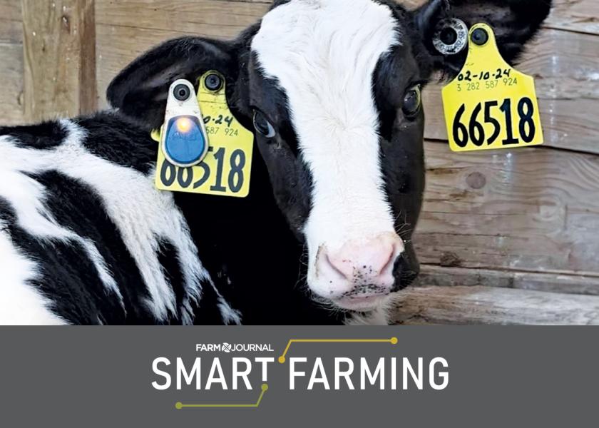 The SENSEHUB monitoring ear tag incorporates a blinking LED light so workers can quickly and easily locate those animals and apply appropriate interventions.