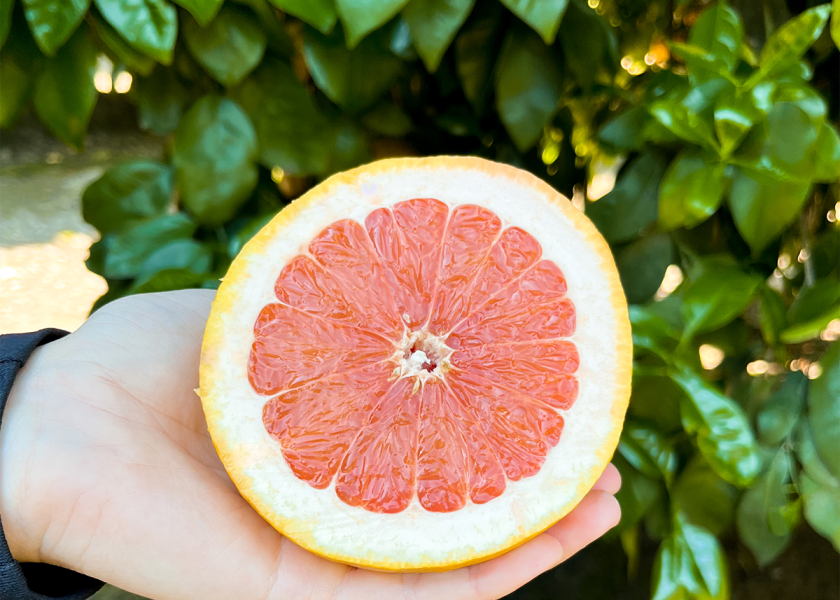As the spring season gains momentum in California’s Central Valley, the Fowler, Calif.-based company is highlighting star ruby grapefruit as a key variety in its seasonal citrus lineup.