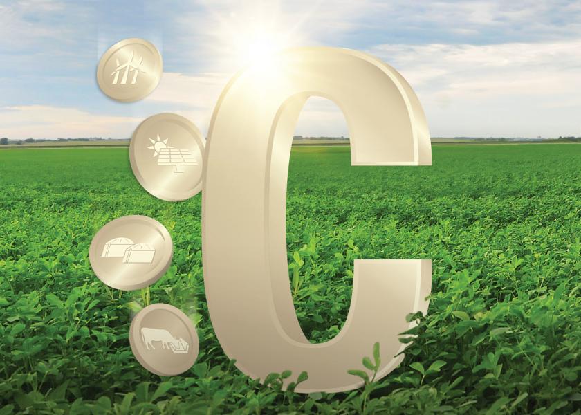 Though the reason to consider joining a carbon credit program can be enticing, taking the time to research how these programs work, what the process involves and how much they pay can cause some farmers to sit out on the sidelines.