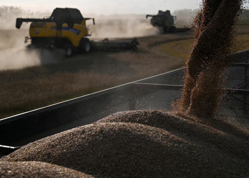 Wheat Prices Rise as Frosts Damage Crops in Top Exporter Russia