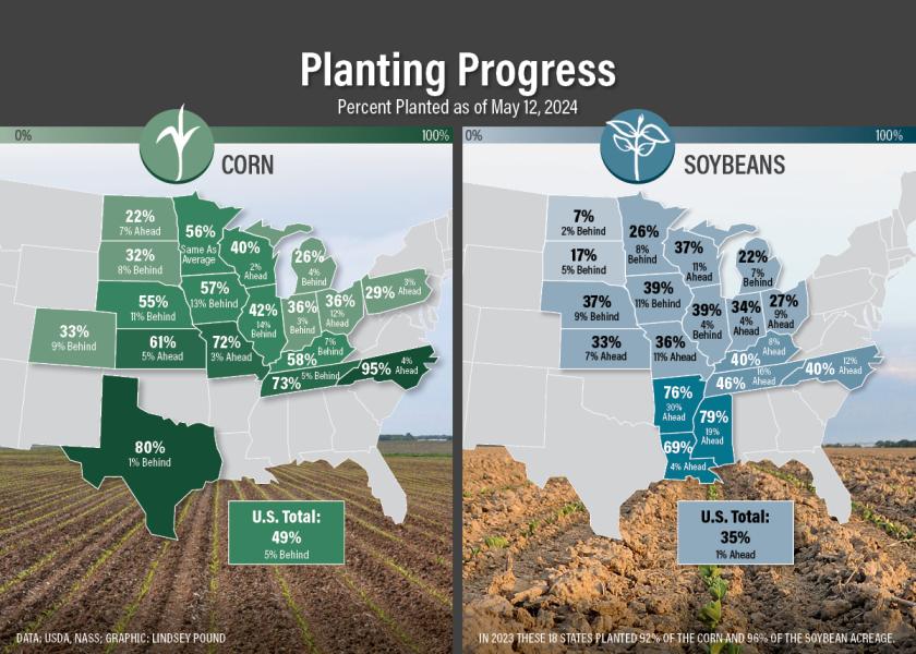 Corn and Soybean Planting Progress Slows Overall