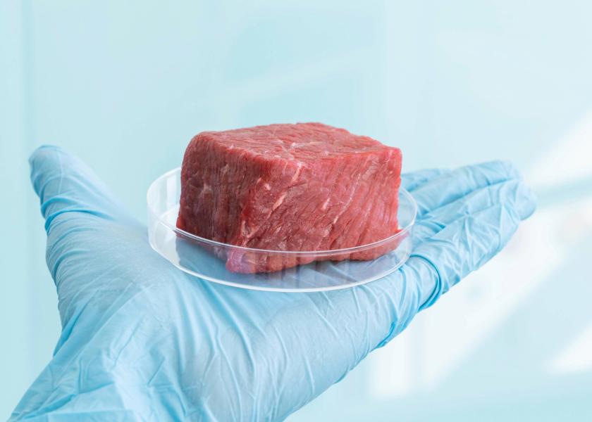 Lab Cultivated Meat Making News in Florida and Other States Drovers