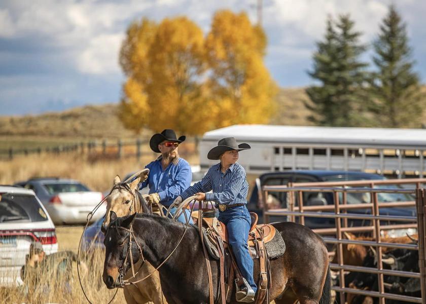 Lightning Kills Colorado Rancher and 34 Cows Saturday