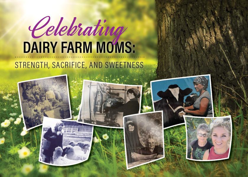 Celebrating Dairy Farm Moms: Strength, Sacrifice, and Sweetness