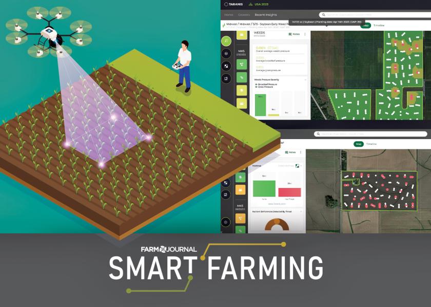 Harvesting Insights: How AI Crop Scouting Is Driving Decisions