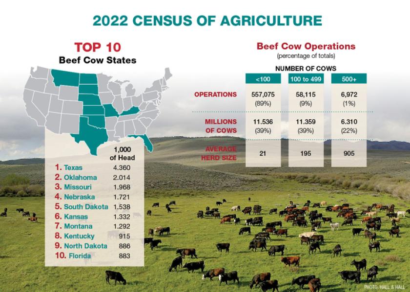 Fewer Cows, Fewer Ranchers | Drovers