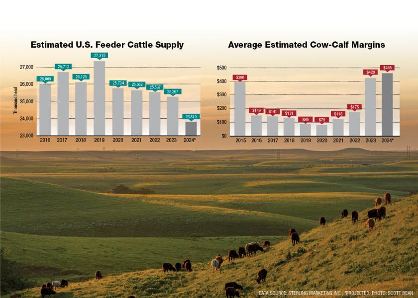 Beef Herd Expansion Pending?