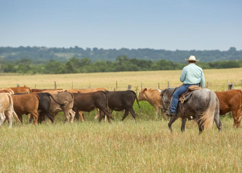 Making herd genetic advancements is a benefit to cattlemen and ...