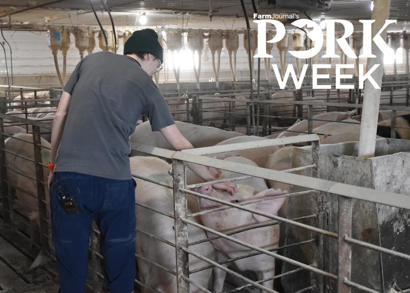 What Makes a Barn Hero? | Pork Business