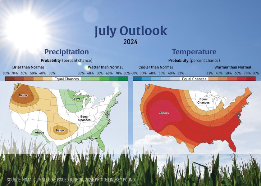 What You Need to Know About the July Forecast