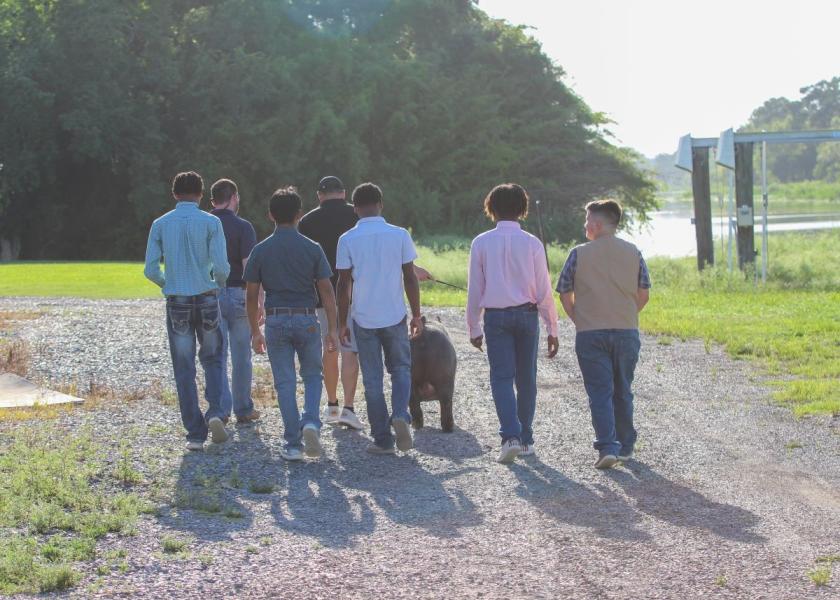 Louisiana Kids Discover a New Path in Life Through Showpigs