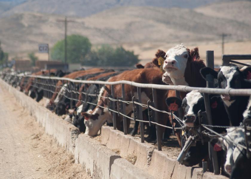 Cargill Invests $1 Million in Research on Methane Reduction in Cattle