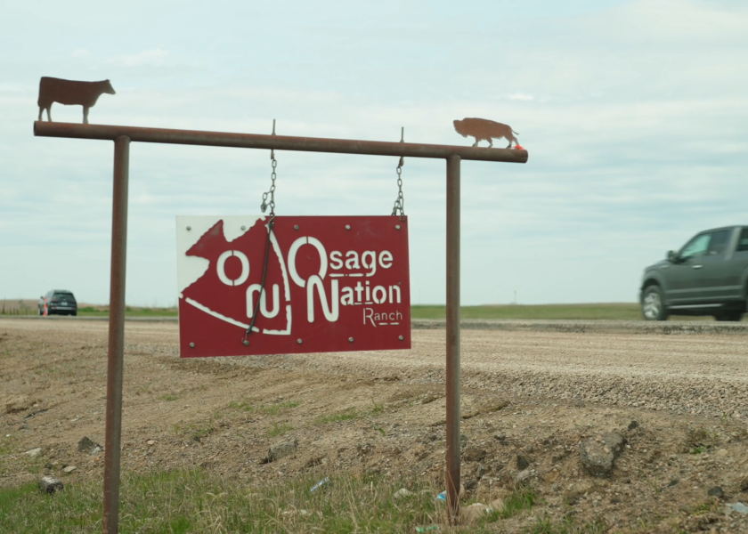 Restoring Oklahoma’s Tallgrass Prairie, One Step at a Time | AgWeb