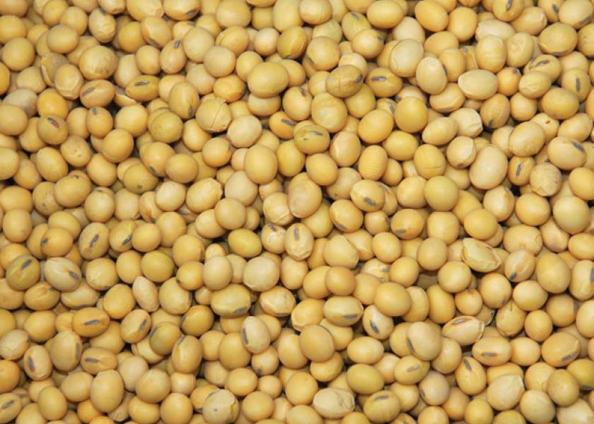 4 Low-Cost Ways To Maximize Your Soybean Yield