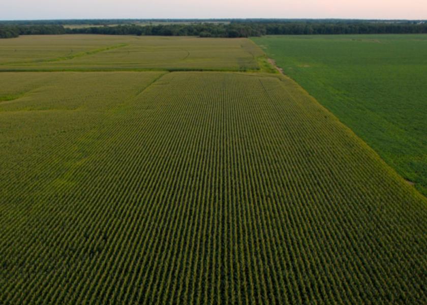 New Corn Trait, Herbicide Technology Slated for Broad-Acre Use in 2025