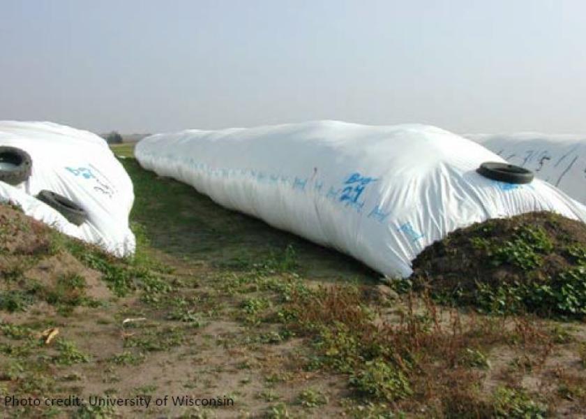 Silage_Bags-Univ_of_Wisconsin.jpg