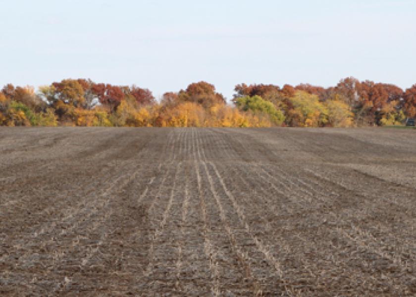 U.S. Braces for a Hotter and Drier Fall as La Niña Looms