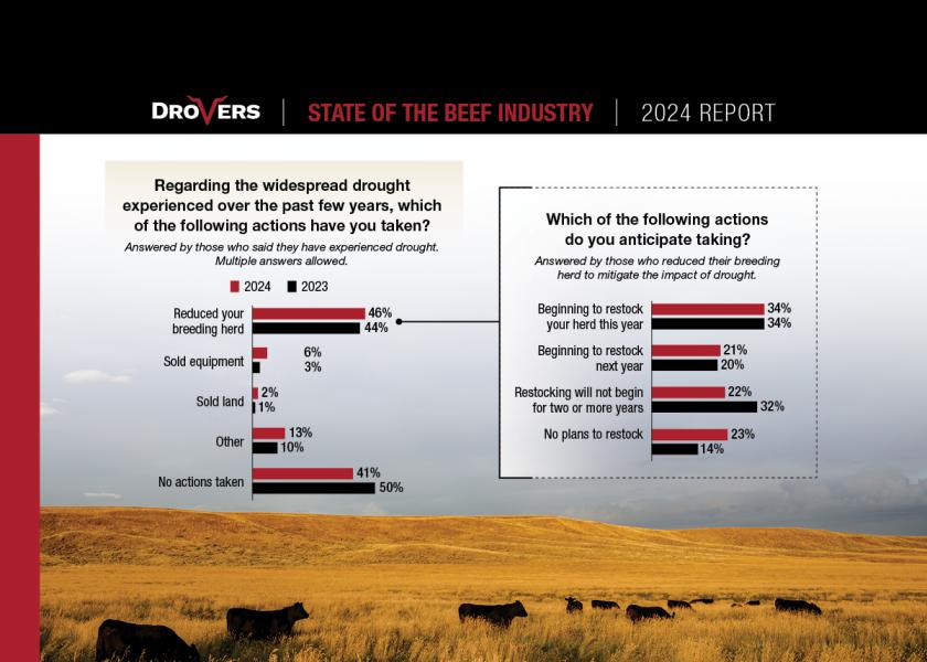 Are Cattle Producers Rebuilding Their Herds Now?