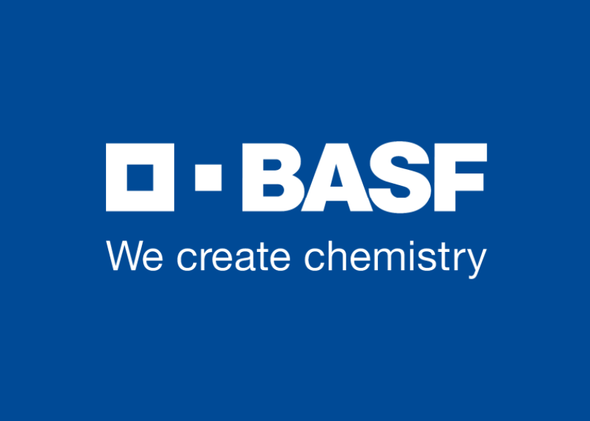 Inside BASF's Strategic Overhaul: A Clearer Direction Ahead