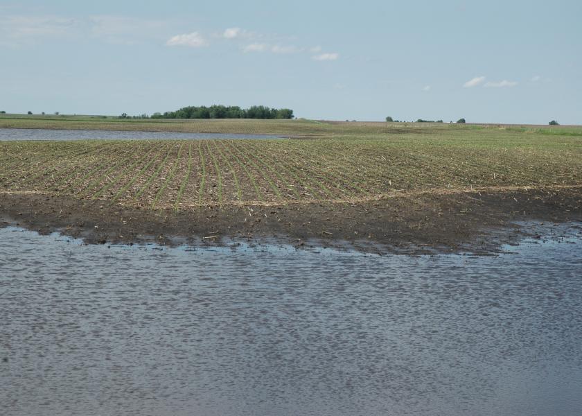 Flood waters, which are different from pooled rain water, may contain sewage, pathogenic organisms, pesticides, chemical wastes, or other toxic substances.