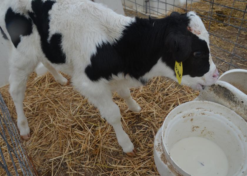 A growing body of evidence suggests there are wide-reaching benefits to following colostrum with several feedings of transition milk. 